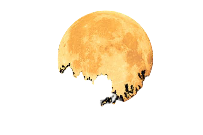 Harvest Moon